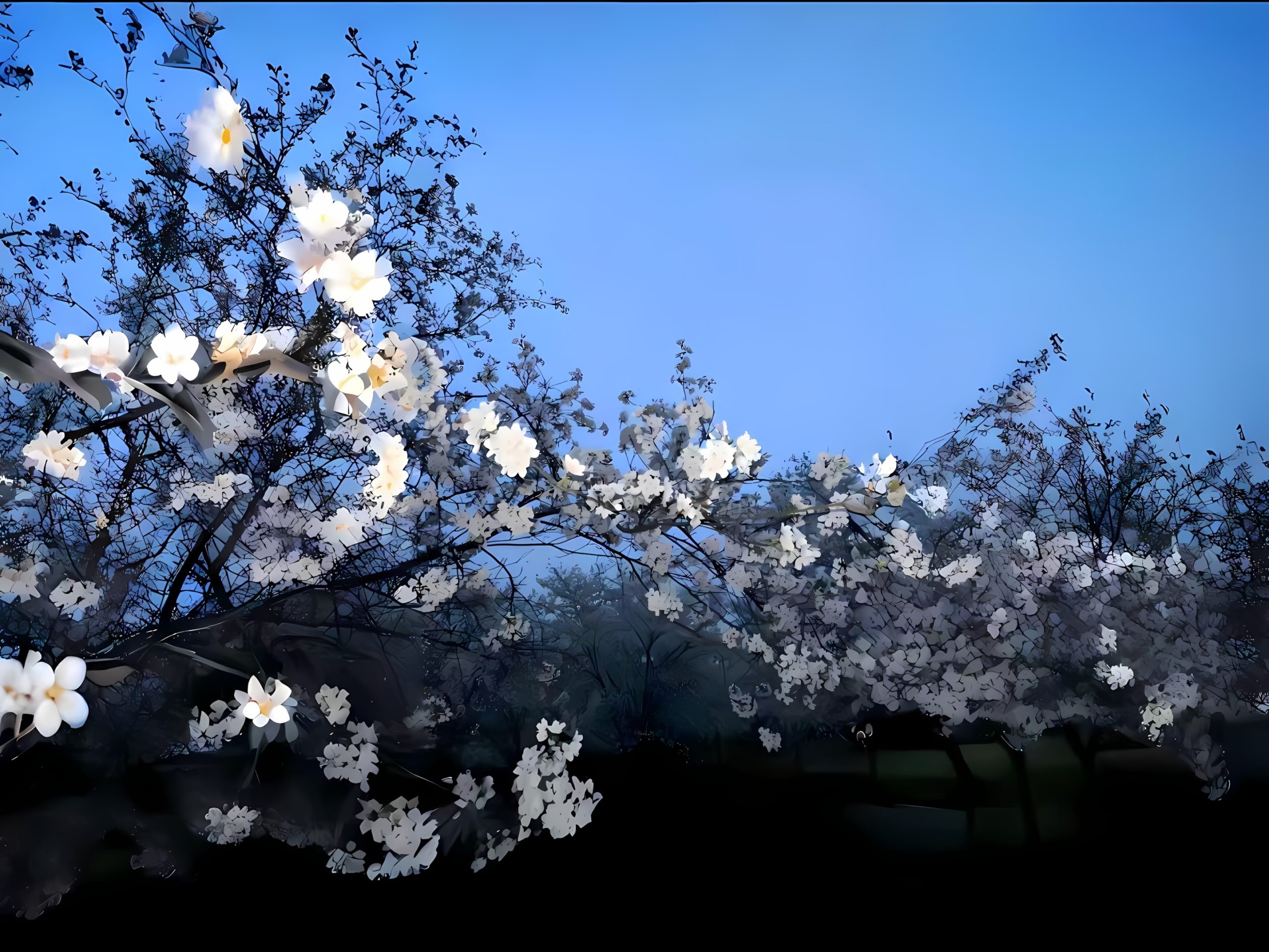 灰猫博客-专注于资源分享